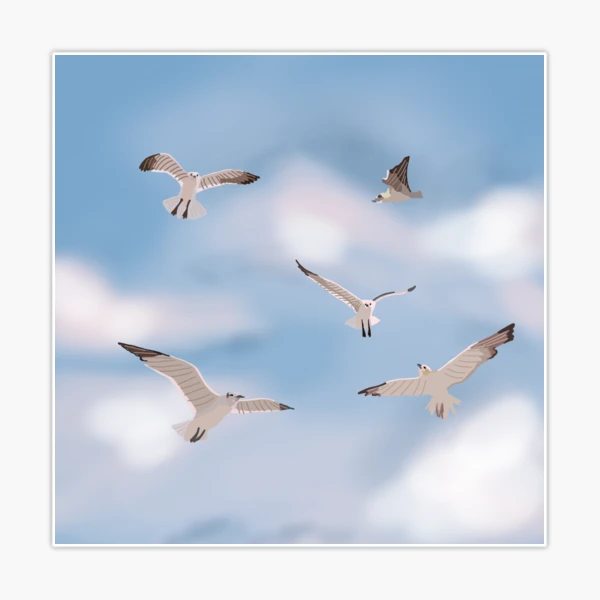 Seagull Sounds at the End of 1989 Tracks