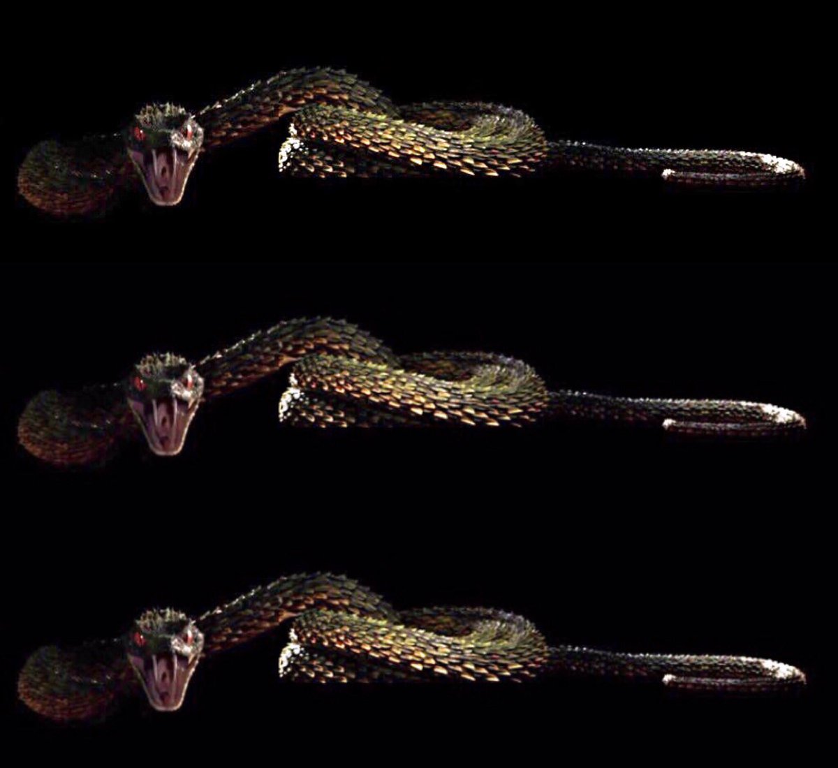 Snake Imagery Foreshadowed on Social Media